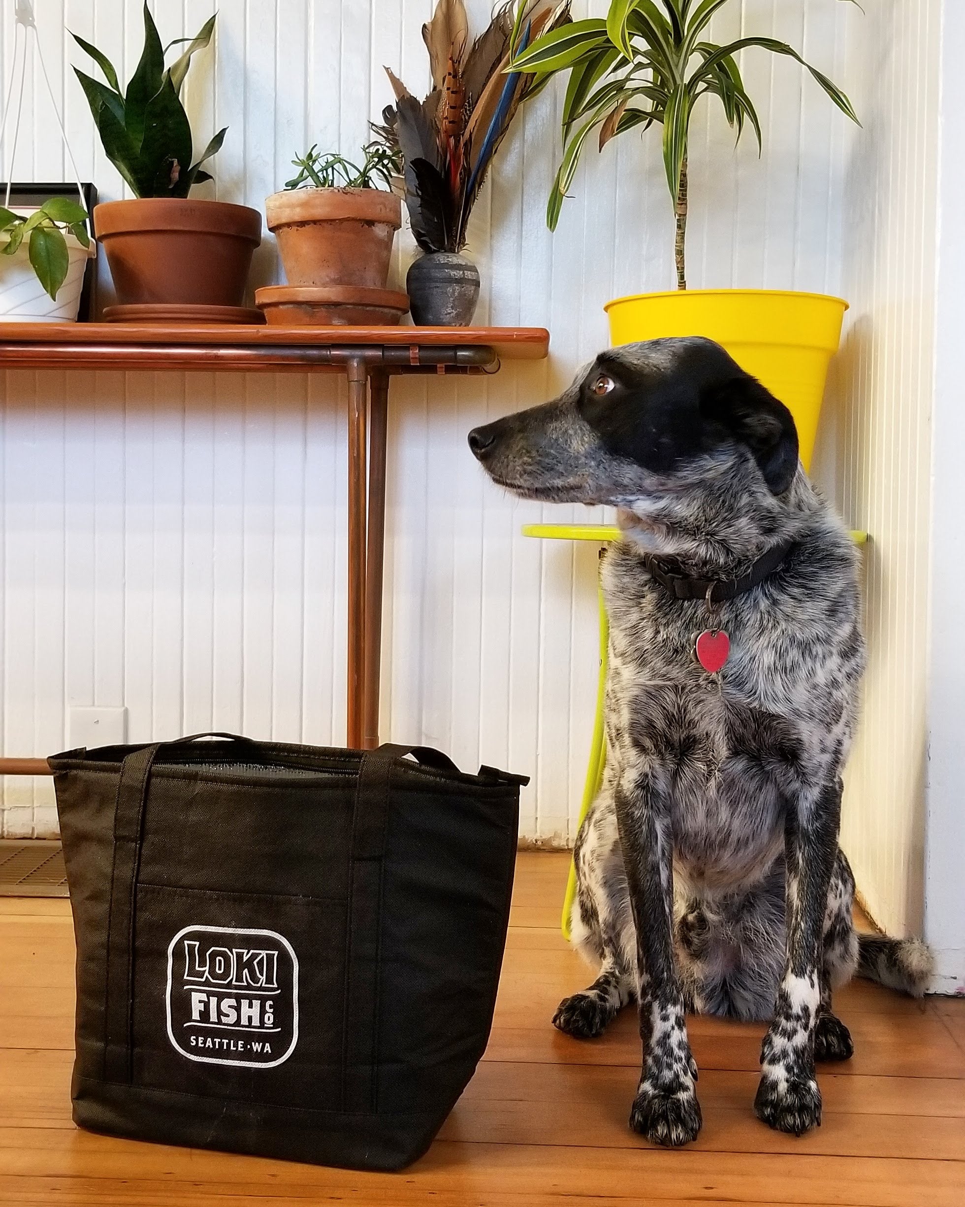 Swimming Into Spring!