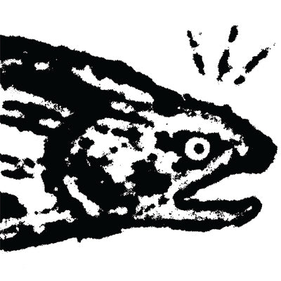 Loki Fish on Facebook