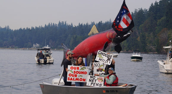 An Update on the Fight Against Open Net Pen Salmon Farms