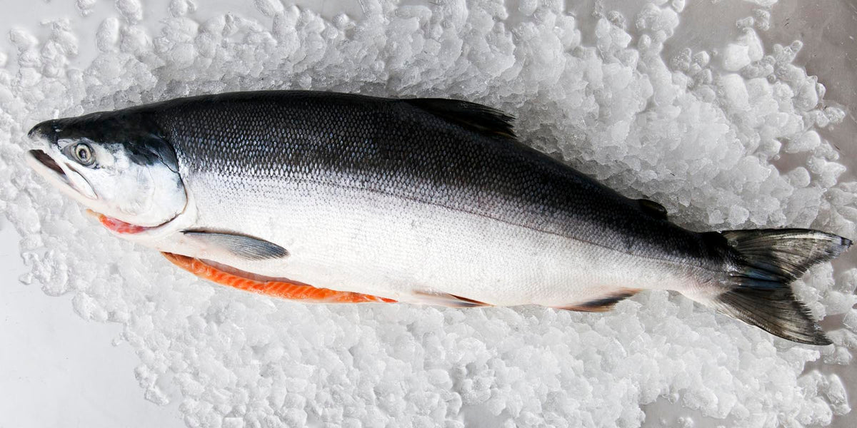 shop whole salmon with healthy omega-3's