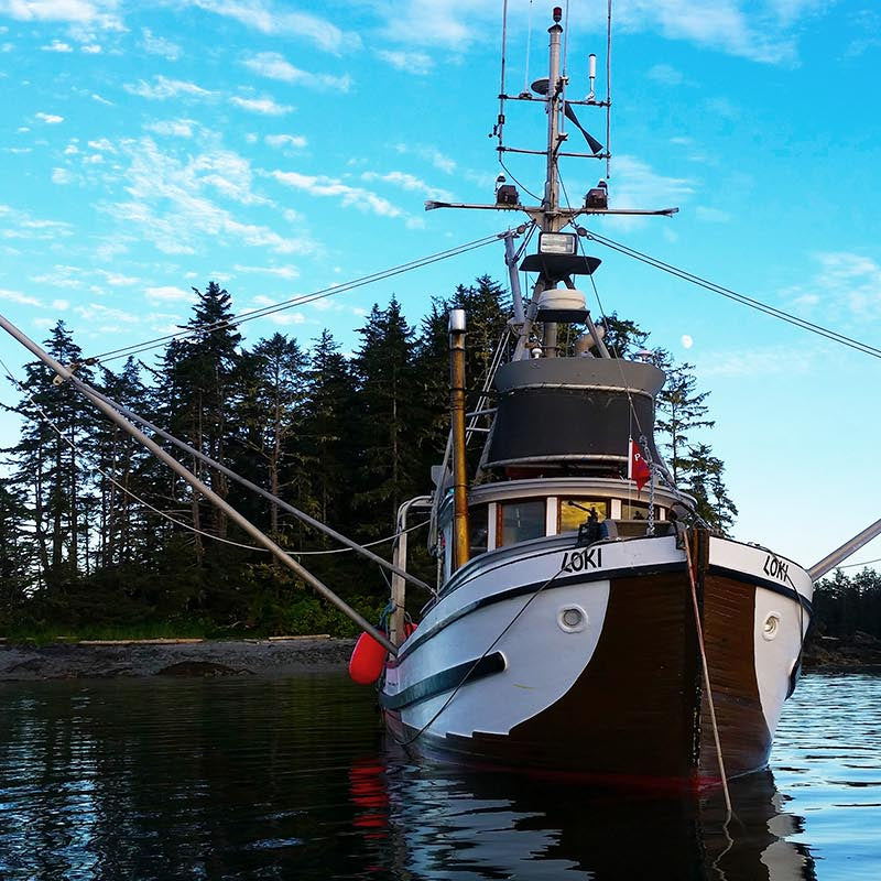 wild alaskan salmon fishing boat loki