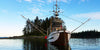 wild salmon direct online sockeye fisherman boat