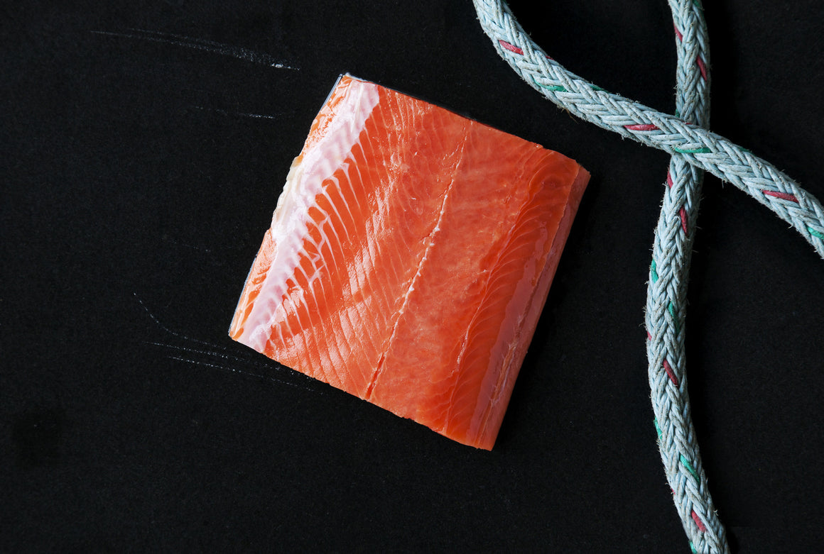 Wild Coho Salmon Portions - Loki Fish Company