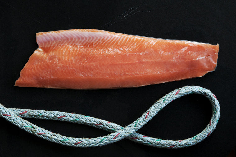 Wild Pink Salmon Whole Side Fillets - Loki Fish Company